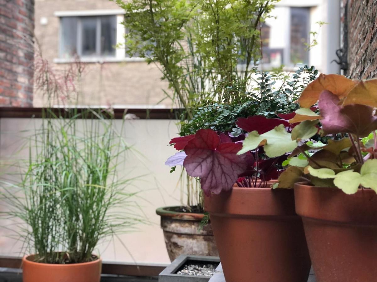 Giorgio Holiday home Antwerp